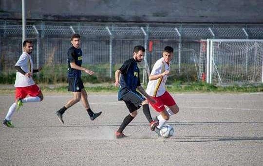 Tomas Favaloro