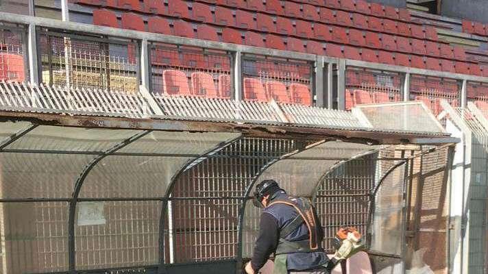 Il "caso Celeste", i bandi, le compensazioni: a ognuno il suo compito
