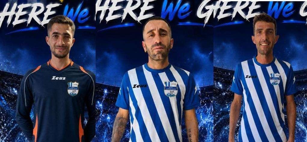Talpa, Coluzzi e Puglisi