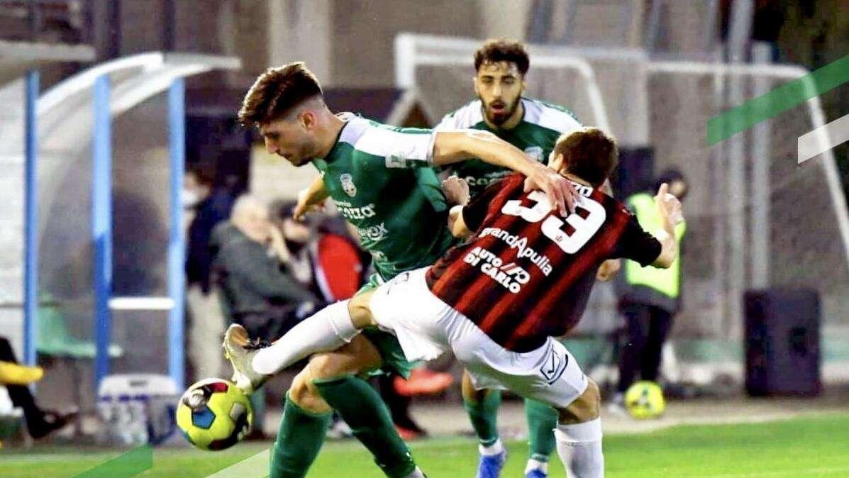Messina-Monopoli: gabbiani mai vittoriosi sullo Stretto