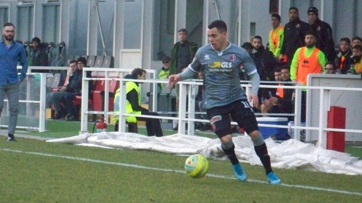 Sartore ad Alessandria (2020)