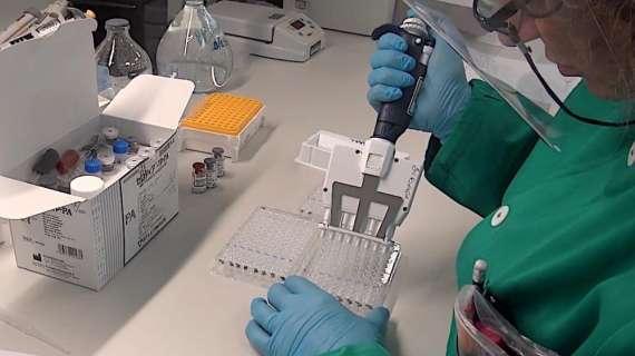 Emergenza Coronavirus, in Svezia niente lockdown ma boom di decessi. Tegnell: "Davvero una sorpresa"