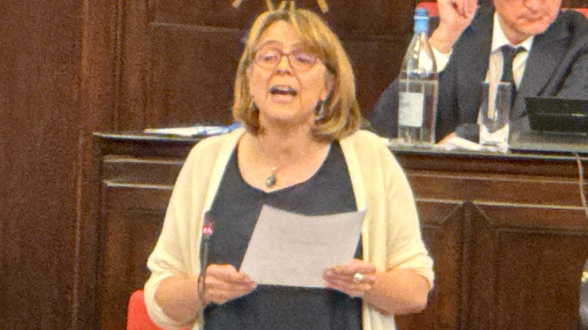 Vicesindaco Scavuzzo: "Inchiesta sul bando? Non potevamo tagliarlo su misura"