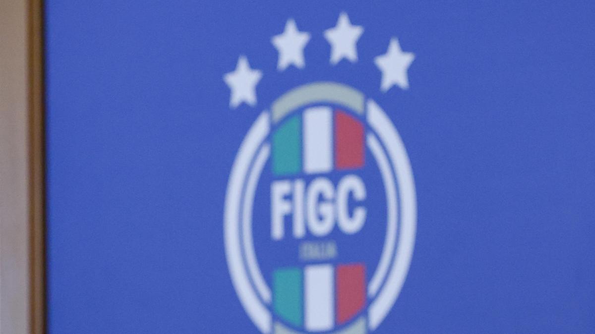 Federcalcio: Malagò pronto ad annunciare il quorum in Serie A