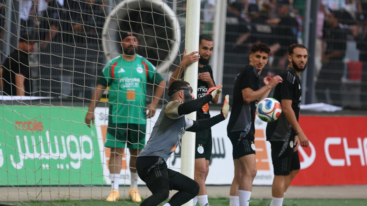 Verso i Mondiali: l'Algeria batte l'Olanda 1-0 in amichevole