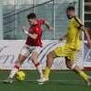 UFFICIALE: Avellino, Pandolfi rinforza l'attacco