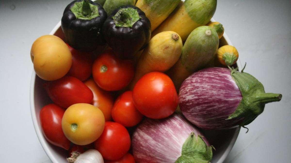 Curiosità:Verdure da piantare in febbraio: consigli e suggerimenti