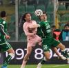 Avellino, Enrici blindato in biancoverde: rinnovo fino al 2029