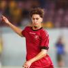 Tegola in casa Reggina, brutto infortunio per Andrea Palmieri: necessario l'intervento