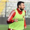 UFFICIALE: Turris, colpo da novanta per l'attacco