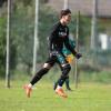 Alcione Milano, pronto il ritorno di Francesco Raffaelli dal Bologna