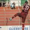 Serie D, la classifica cannonieri del girone G: Aloia in fuga, Maggio all'inseguimento