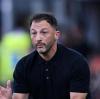 Tedesco alla vigilia di Bologna-Sassuolo: «Servono più cattiveria e cinismo»