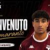 UFFICIALE: Tau Altopascio, triplo colpo in attacco: Riad, Busato e Spatari