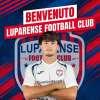 Luparense, rinforzo in mediana: dal Padova arriva il giovane Francesco Carlin