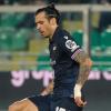 Ascoli, Venuti verso la firma: il difensore ex Sampdoria ha convinto Tomei