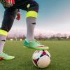 Ossese, grandi manovre per la nuova serie D: si punta Forzati