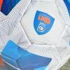 Serie D, countdown finale: oggi alle 14:00 scadono i termini per i ricorsi