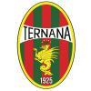 Ternana, all'asta il marchio e i beni storici: tutti i dettagli della procedura online