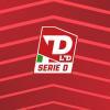Brindisi, arriva il via libera: sarà Serie D per la stagione 2026/2027