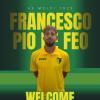 UFFICIALE: Colpo a centrocampo piazzato dal Melfi