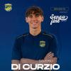 UFFICIALE: Il Gravina tessera Di Curzio