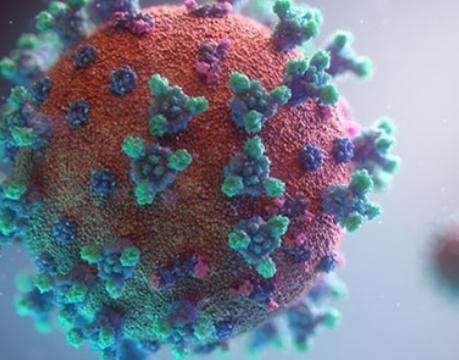 Coronavirus, dalla Francia: «Il vaccino non arriverà prima di altri 18 mesi»