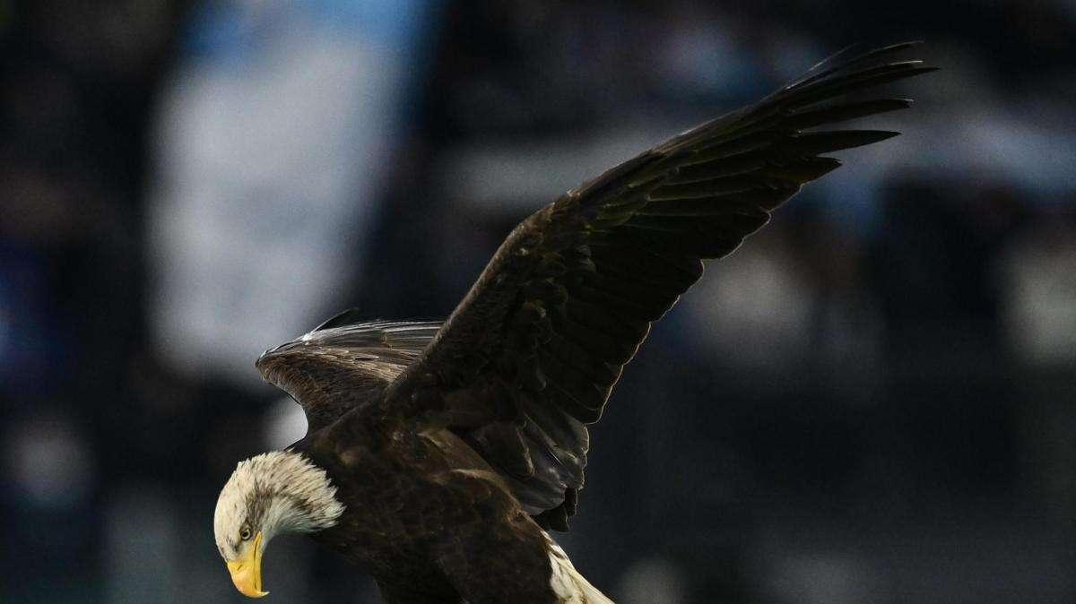 Lazio, colpo in prospettiva dalla Slovenia: arriva il 2008 Kovac