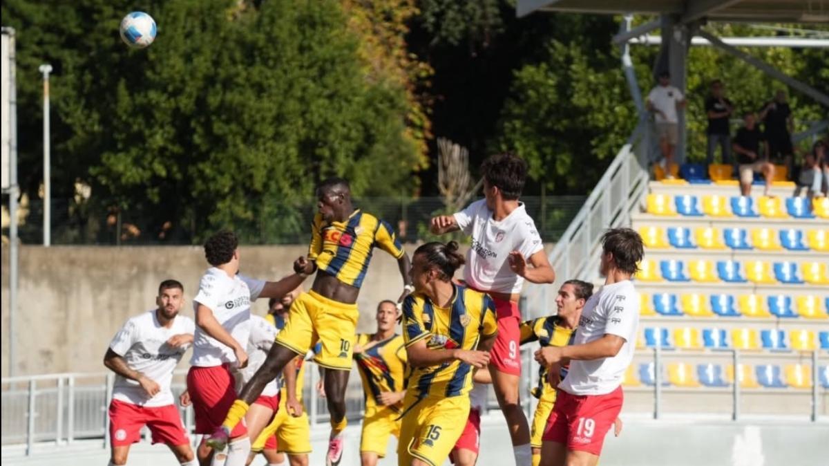 La Viterbese cerca conferme al Rocchi contro l'Albalonga