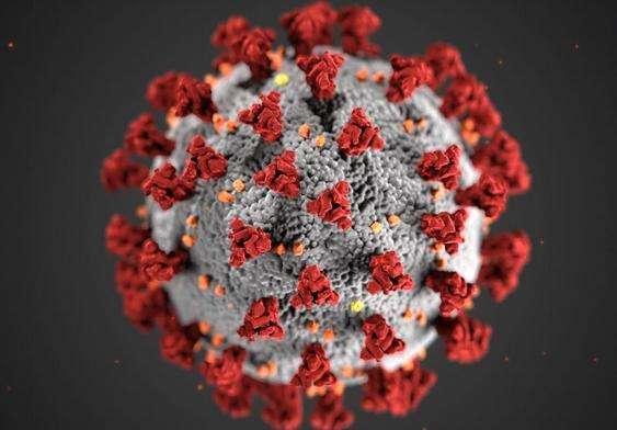 Coronavirus, il bollettino: in Italia 16.079 nuovi contagi e 136 morti
