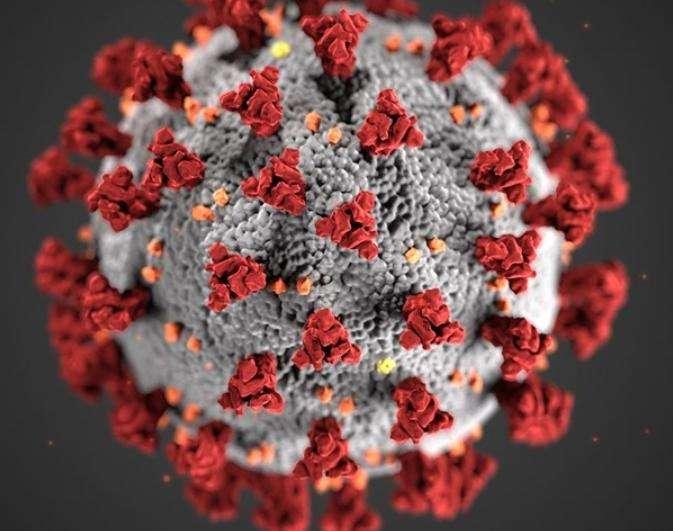 Coronavirus, la Johns Hopkins University: oltre 320mila morti nel mondo