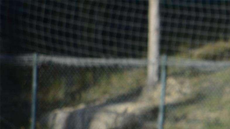 Serie D Girone E: ecco chi ha segnato più gol negli ultimi anni