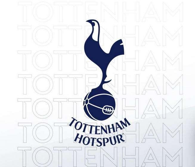 Tottenham, ceduto un giovane talento: si farà le ossa in Championship