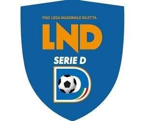 Girone D. La presentazione in sintesi di tutte le compagini