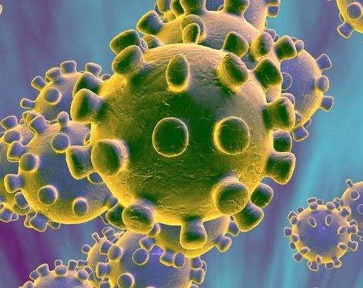 Coronavirus: torna l'incubo coronavirus in Cina: isolata la contea di Jia