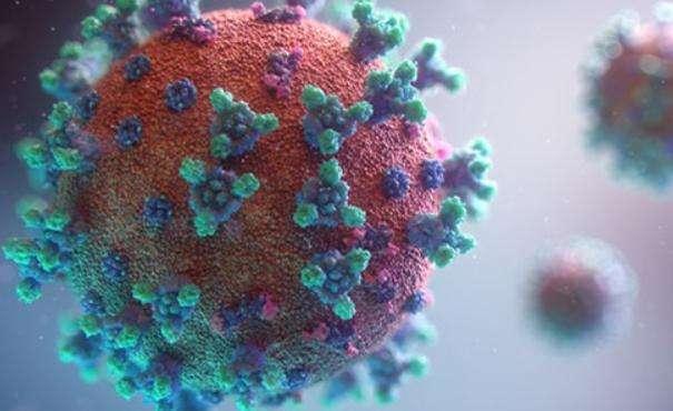 Coronavirus, il bollettino: in Italia oggi 19.350 nuovi contagi e 785 morti