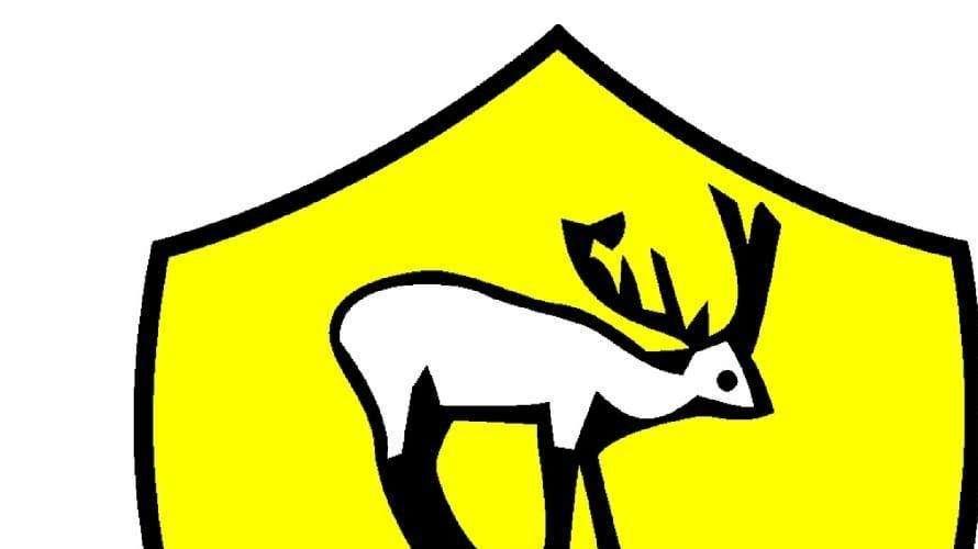 Un club d'Eccellenza alza bandiera bianca: «Non ci sono più le condizioni per continuare»