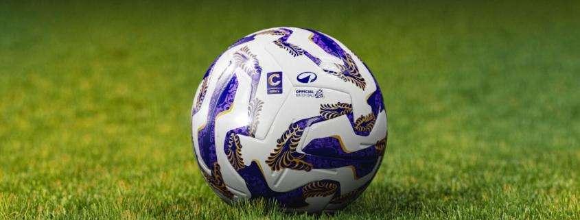 Serie C: come verranno strutturati i tre gironi? L'ipotesi