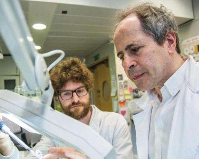 Coronavirus, il virologo Crisanti: «Troppi morti, fallimento della classe dirigente del Paese»