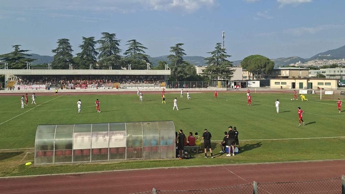 Perugia-Grosseto termina 1-1: Ladinetti su rigore risponde alla perla di Fabri