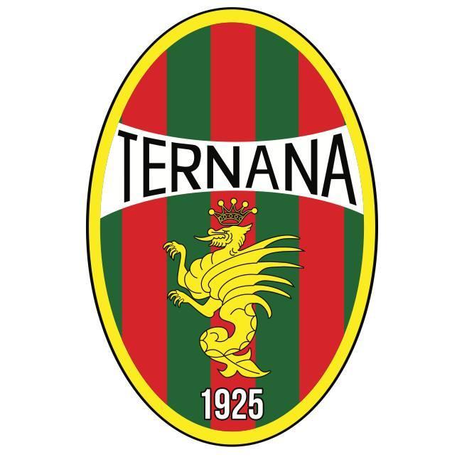 Ternana, all'asta il marchio e i beni storici: tutti i dettagli della procedura online