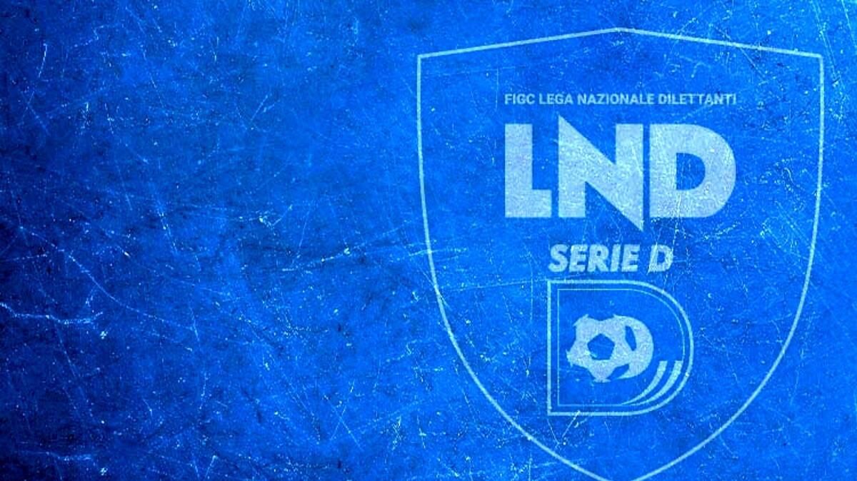 Serie D, ricorso accolto per l'Enna: c'è l'ufficialità dell'iscrizione al prossimo campionato