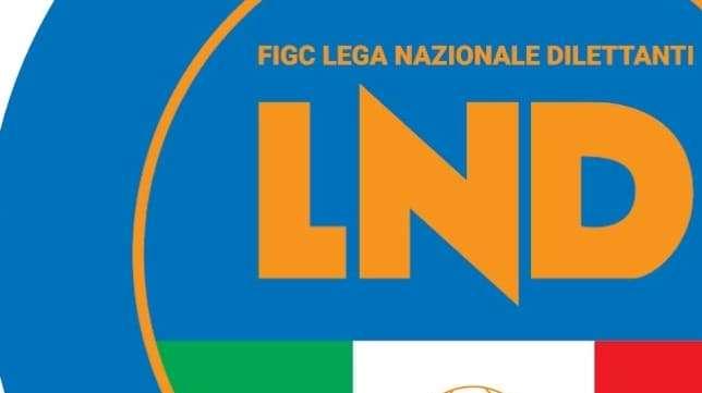 C.R. Veneto, definita la struttura dei gironi di Eccellenza
