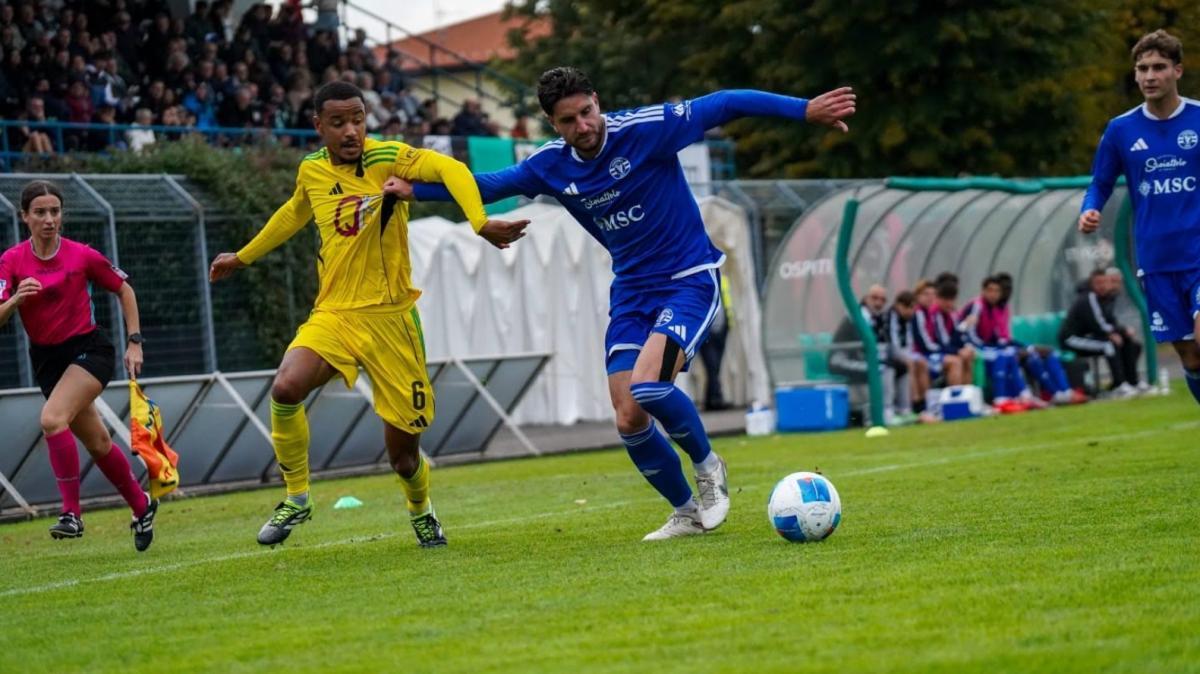 Castellanzese e Varesina non si fanno male: al "Provasi" finisce 1-1