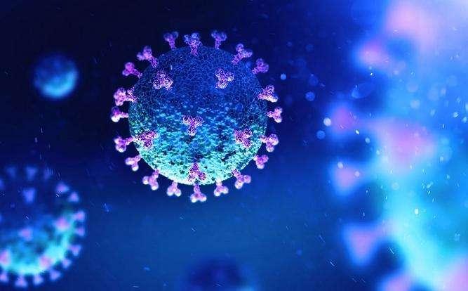 Coronavirus, il bollettino: in Italia oggi 14.372 nuovi contagiati e 492 morti