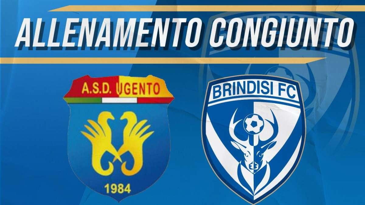 Brindisi: Domenica allenamento congiunto con l'Ugento