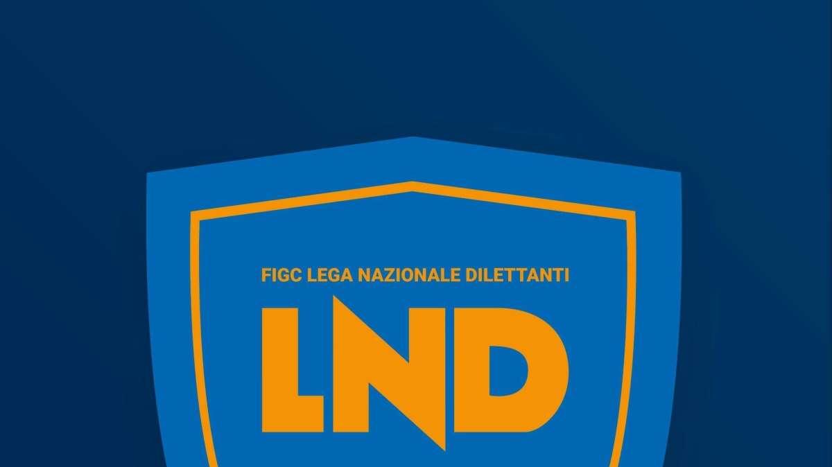 ULTIM’ORA: Altri due ripescaggi in Serie D! Il comunicato 