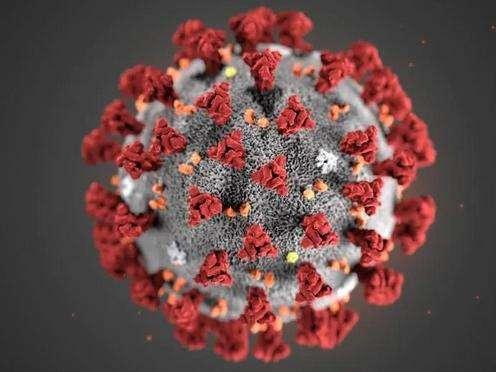 Coronavirus, il bollettino della situazione in Italia: 13 morti e 1.367 nuovi contagi