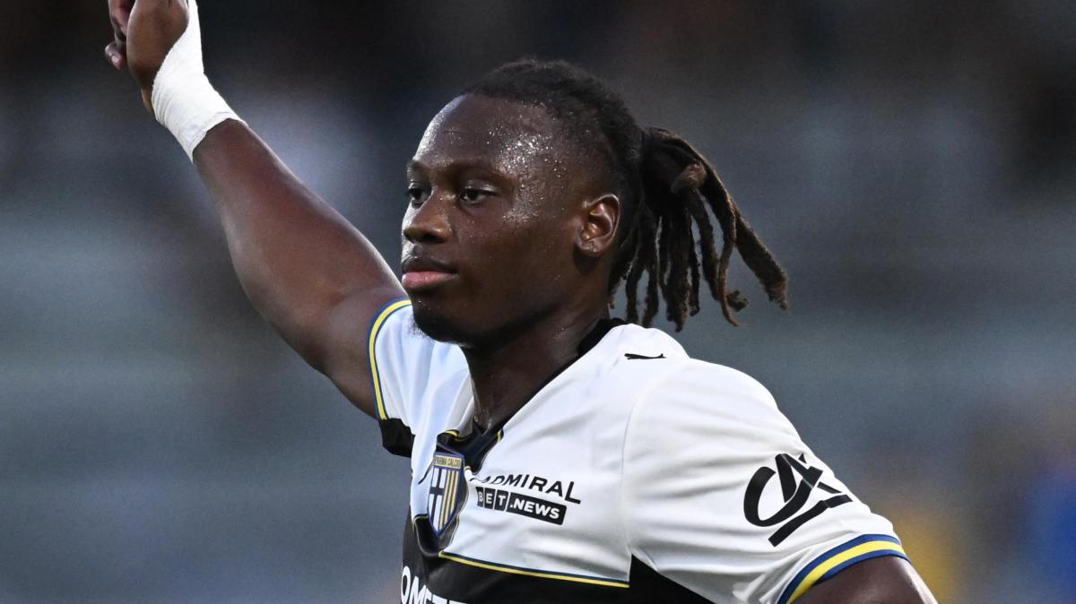 Gli highlights di oggi - Elphege operato. Giornata di riposo per la squadra