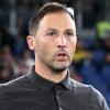 Bologna, i convocati di Tedesco per la sfida contro il Brighton